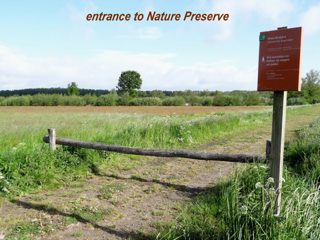 aerial of Hoeven Nature Preserve (“A-B”) Road