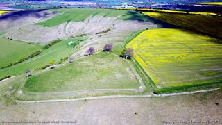 aerial of Oliver's Castle from ccc