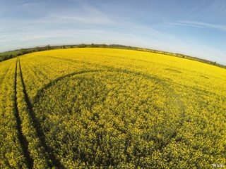 aerial of Tarlton Down