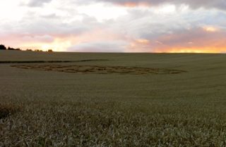 ground of Etchilhampton from ccc