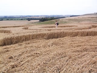 ground of Avebury from ccc
