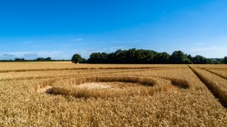 ground of Gurston Ashes from ccc
