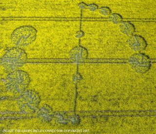 aerial of Willoughby Hedge