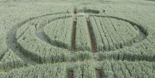 ground of Marlborough from ccc