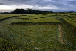 ground of Hackpen Hill from ccc