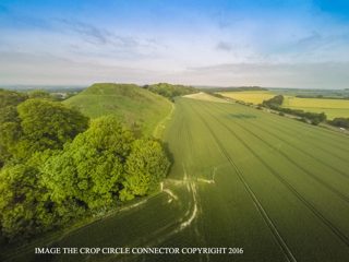 other of Castle Hill from ccc