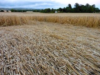 ground of Etchilhampton from ccc