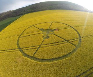 aerial of Hambledon Hill