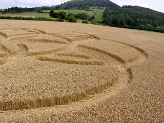 ground of Dornberg / Zierenberg