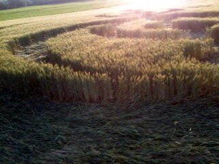 ground of Rauwiller from ccc
