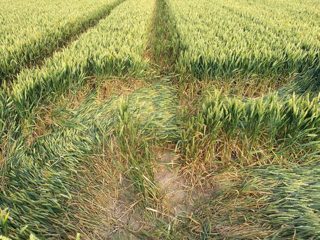 ground of Sutton Hall from ccc