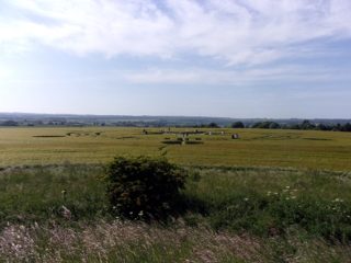 ground of Ackling Dyke from ccc
