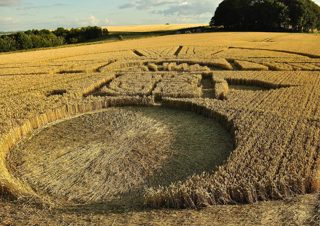 ground of Barbury Castle from ccc