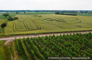 aerial of Annexe Gare D181