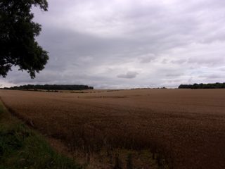 ground of Swarranton from ccc