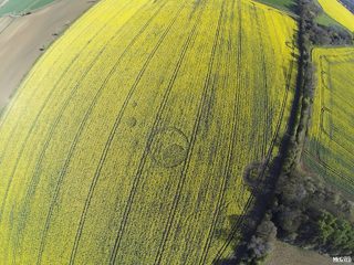 aerial of Tarlton Down