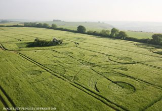 aerial of Buckland Down