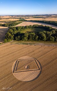aerial of Gurston Ashes from ccc