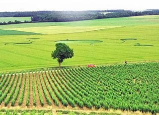 ground of Crézancy-en-Sancerre from ccc