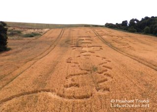 aerial of Roydon from ccc