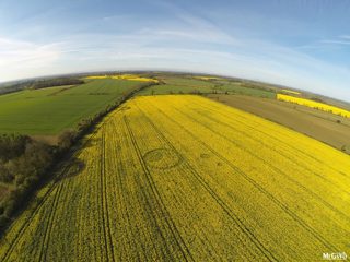 aerial of Tarlton Down