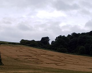ground of Roydon from ccc