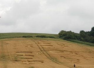 ground of Roydon from ccc
