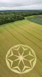 aerial of Tichborne