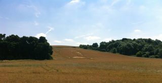 aerial of Roydon