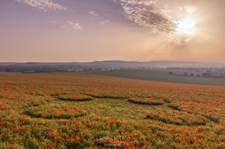 ground of Etchilhampton Hill from ccc