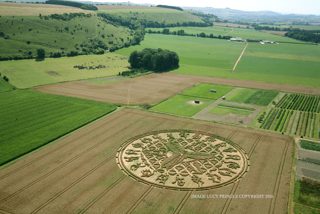 aerial of Ansty from ccc