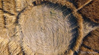 aerial of Nursteed from ccc