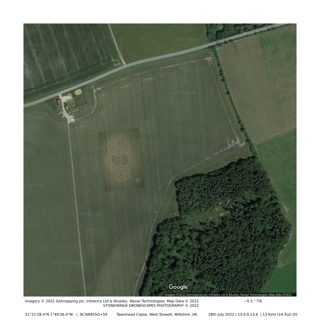 diagram of Tawesmead Copse from ccc