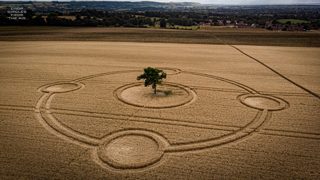 aerial of Potterne from ccc