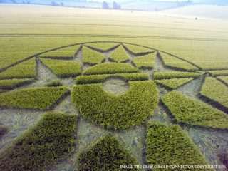aerial of Willoughboy Hedge