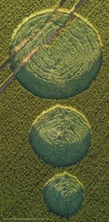 aerial of Sutton Hall from ccc