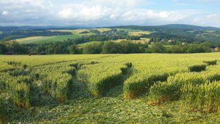 ground of Klicnov from ccc