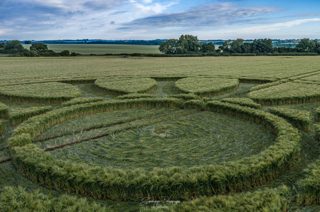 ground of Barbury Castle from ccc