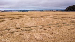 ground of Hackpen Hill from ccc