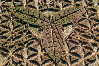 aerial of Ansty