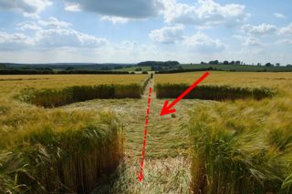 other of Badbury Rings from ccc