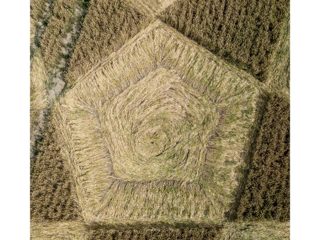 ground of Hackpen Hill from ccc