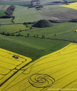 aerial of Waden Hill from ccc
