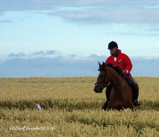 ground of Barbury Castle from ccc