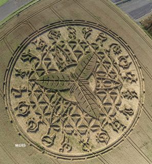 aerial of Ansty