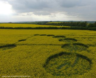 aerial of Willoughby Hedge from ccc