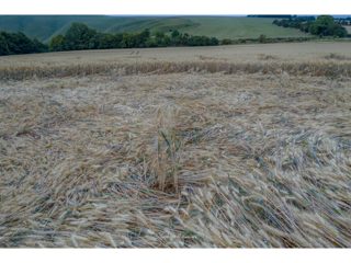 ground of Woolstone from ccc