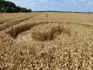 ground of Roundway Hill from ccc