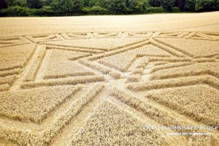ground of West Meon from ccc