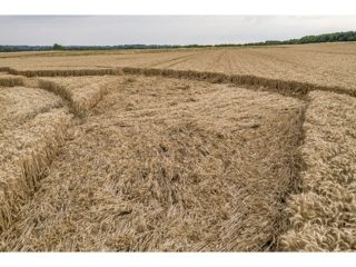 ground of Tufton from ccc